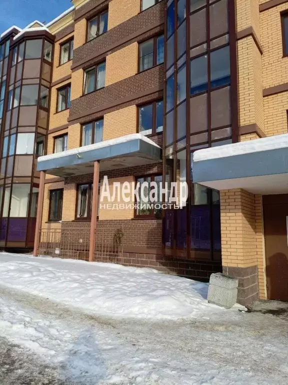 Студия Ленинградская область, Сертолово Всеволожский район, ул. ... - Фото 1