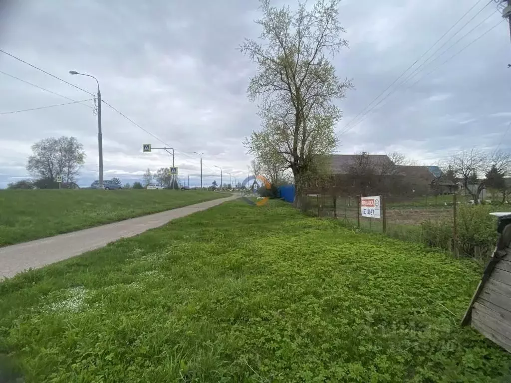 Участок в Новгородская область, Новгородский район, Трубичинское ... - Фото 0