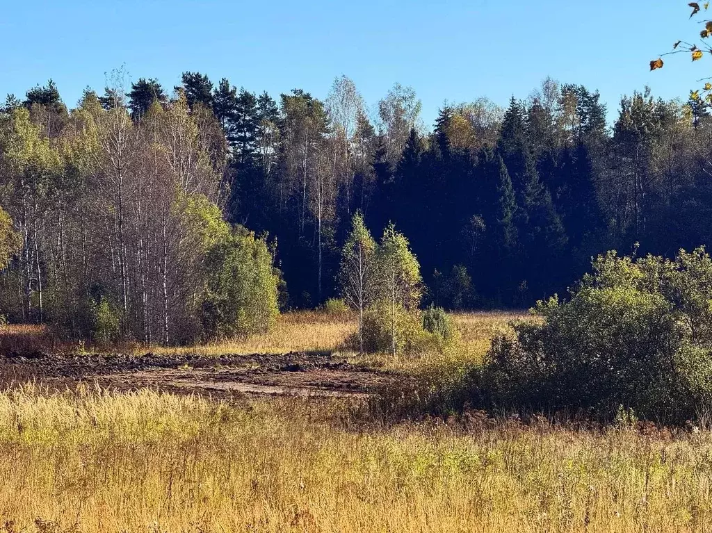 Участок в Московская область, Дмитровский муниципальный округ, Ерыково ... - Фото 1