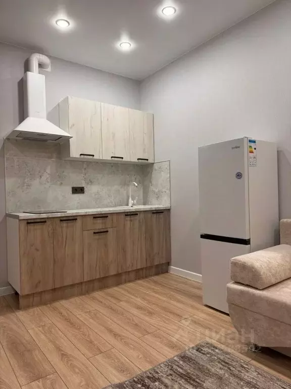 Студия Краснодарский край, Краснодар ул. Ивана Беличенко, 92к2 (22.0 ... - Фото 1