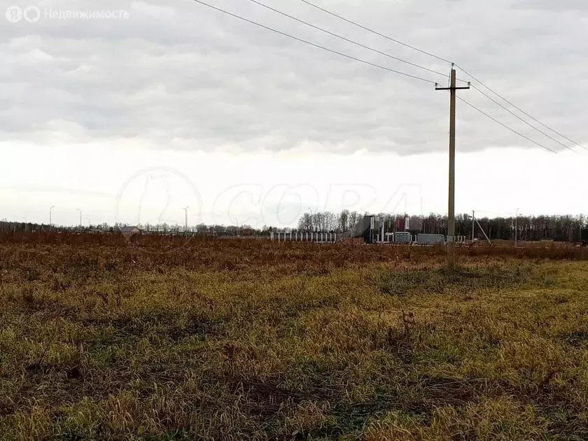 Участок в Тюменский район, село Каменка (24.3 м) - Фото 0