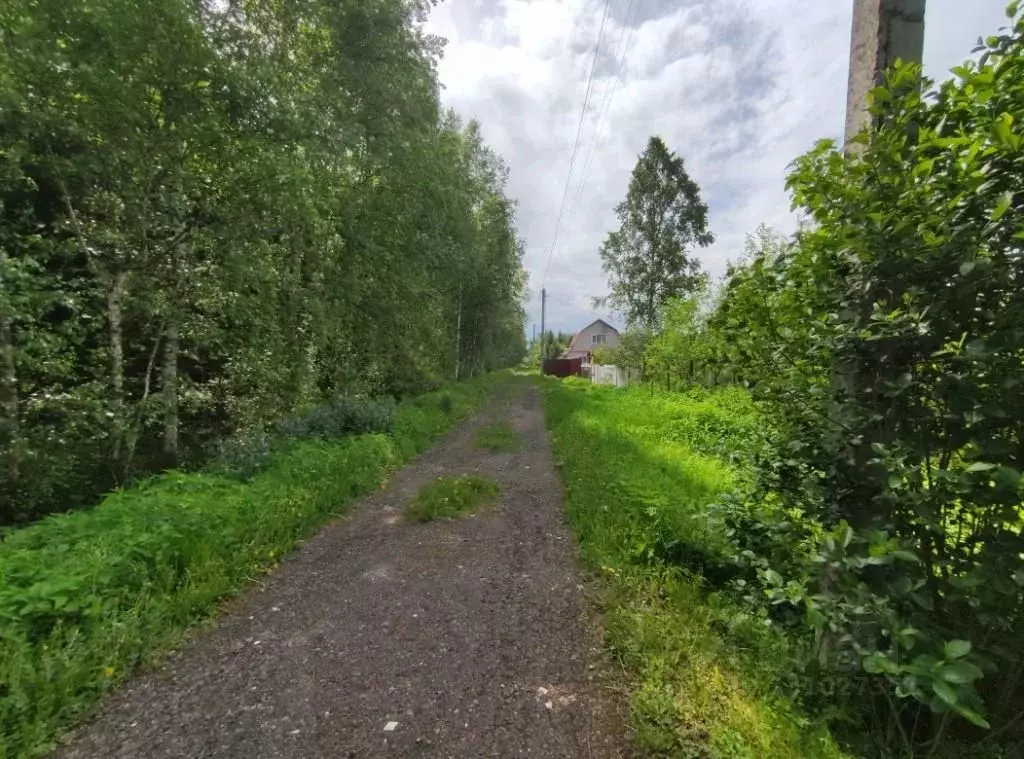Участок в Московская область, Рузский муниципальный округ, Осень ... - Фото 2