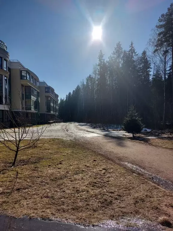 2-к кв. Ленинградская область, Сертолово Всеволожский район, ул. ... - Фото 2