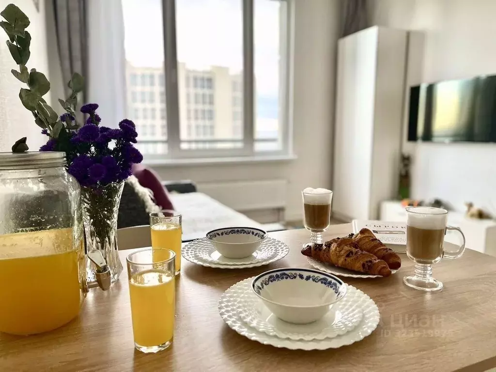 Студия Санкт-Петербург просп. Крузенштерна, 4 (21.0 м) - Фото 2