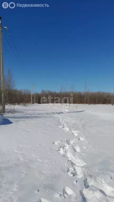 Участок в Хабаровск, садовое товарищество Виктория (13.4 м) - Фото 0