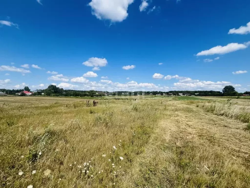 Участок в Белгородская область, Старооскольский городской округ, с. ... - Фото 1