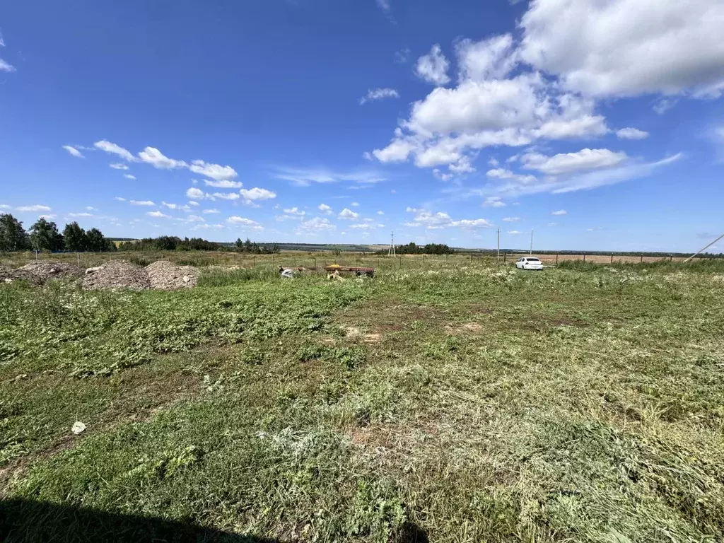 Участок в Татарстан, Рыбно-Слободский район, с. Троицкий Урай  (23.0 ... - Фото 2