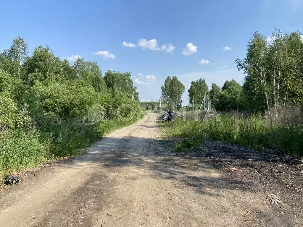 Участок в Тюменская область, Нижнетавдинский район, Тюневское с/пос, ... - Фото 1