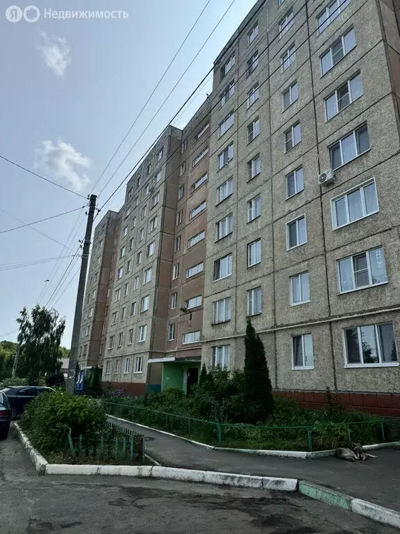 1-комнатная квартира: Орёл, улица Русанова, 52 (33.5 м) - Фото 0