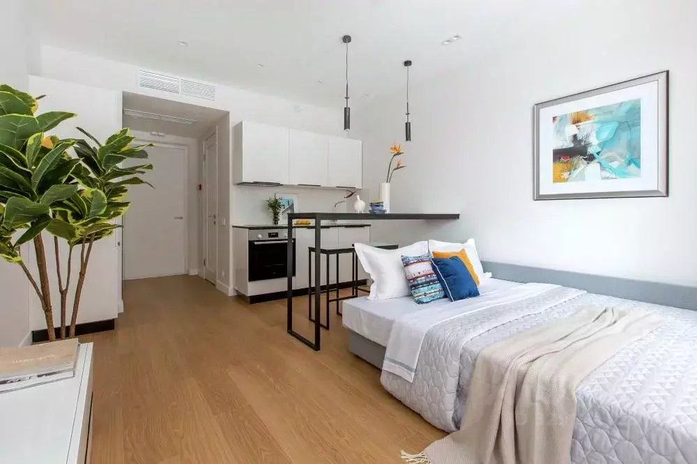 Студия Москва Автозаводская ул., 23Бк2 (22.0 м) - Фото 1