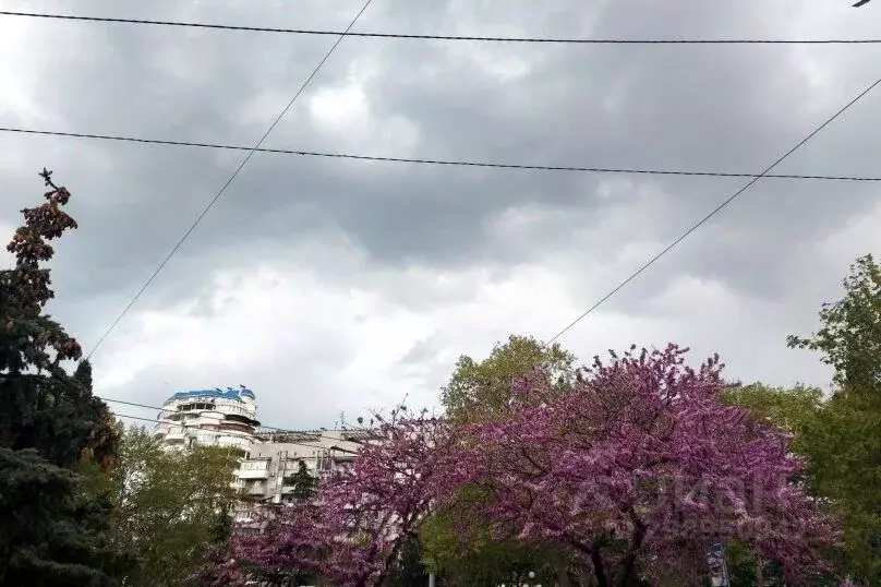 1-к кв. Крым, Ялта ул. Гоголя, 24 (50.0 м) - Фото 1