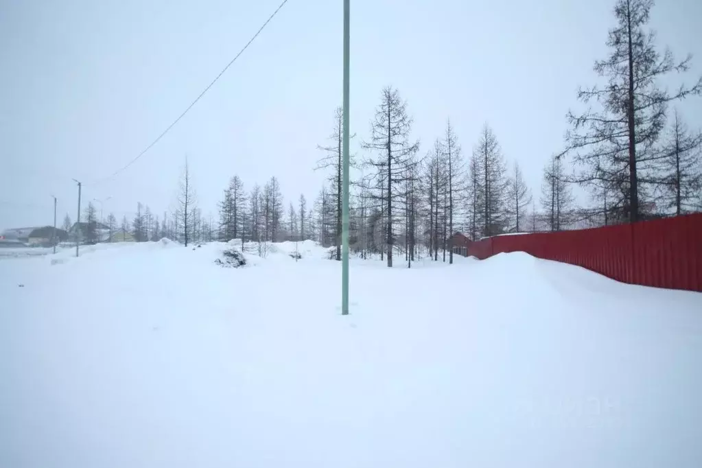 Участок в Ямало-Ненецкий АО, Новый Уренгой Лира ДНТ,  (6.0 сот.) - Фото 0