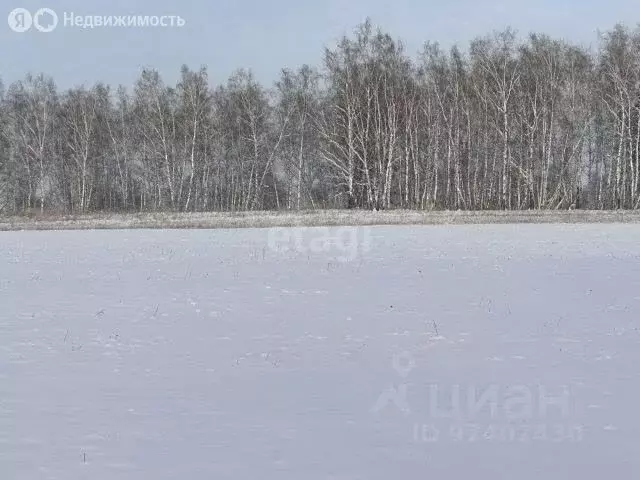 Участок в село Фирсово, Кедровая улица (21 м) - Фото 0