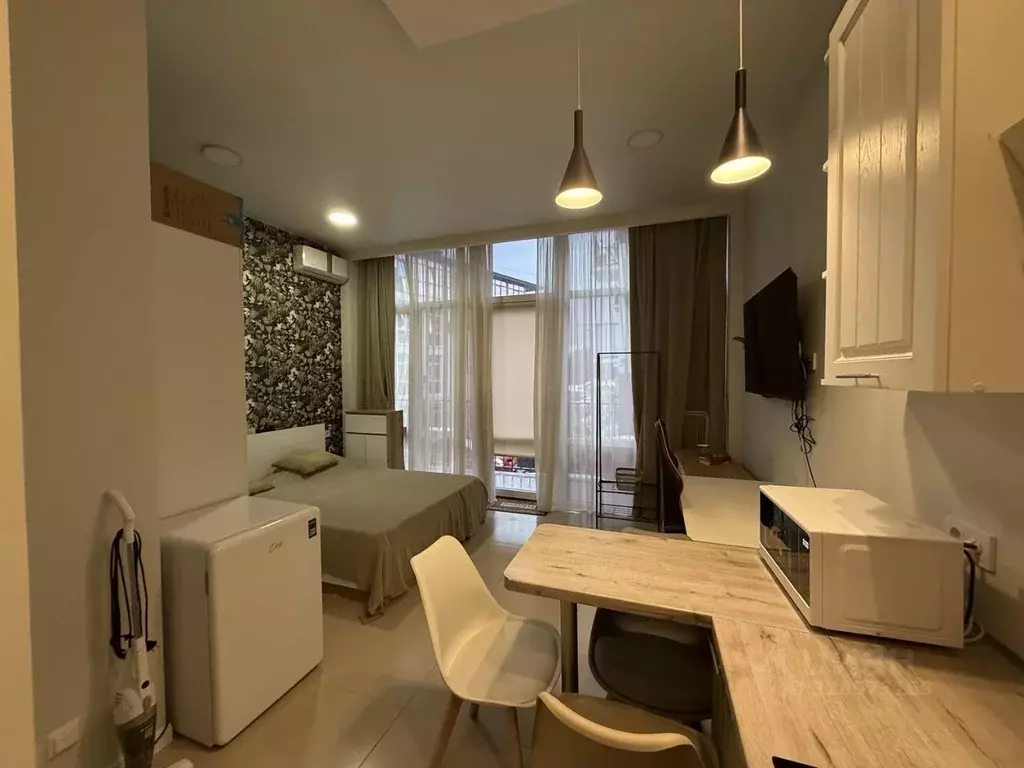 Студия Краснодарский край, Сочи ул. Высокогорная, 47 (24.8 м) - Фото 1