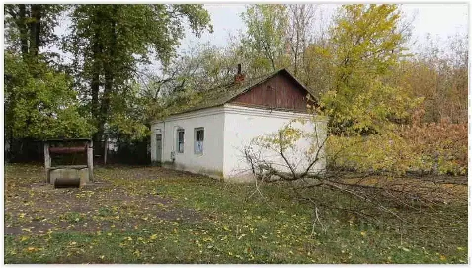 Помещение свободного назначения в Воронежская область, Воробьевский ... - Фото 1
