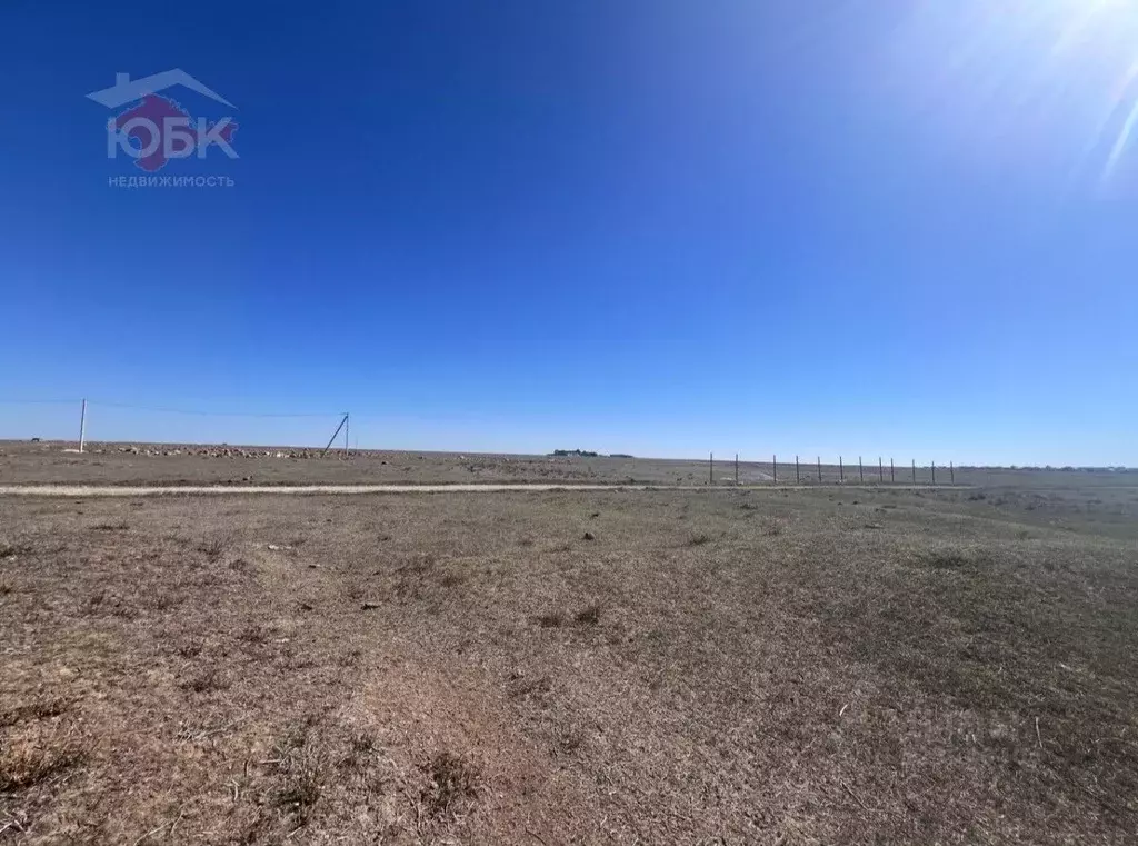 Участок в Крым, Черноморский район, с. Межводное ул. Умера Ипчи (10.0 ... - Фото 1