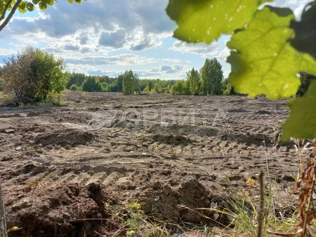 Участок в Тюменская область, Нижнетавдинский район, с. Тюнево  (10.0 ... - Фото 1