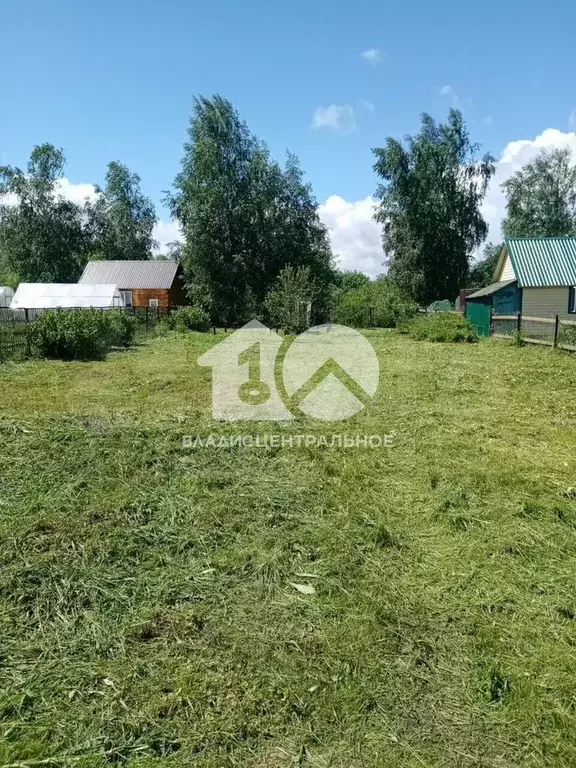 Участок 4 сот. (СНТ, ДНП) - Фото 1