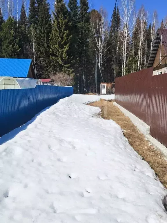 Участок в Ханты-Мансийский АО, Ханты-Мансийск Парус СОТ,  (6.0 сот.) - Фото 1