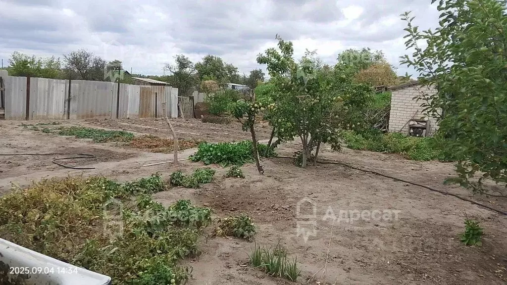 Дом в Волгоградская область, Ленинский район, с. Царев ул. Ленина (61 ... - Фото 1