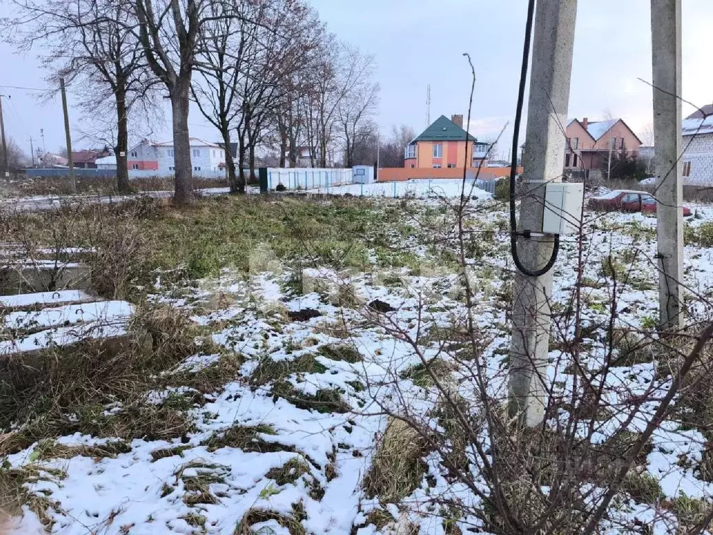 Участок в Калининградская область, Пионерский Степная ул. (5.9 сот.) - Фото 2