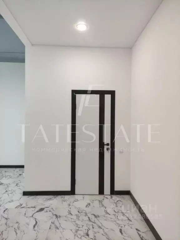 Офис в Татарстан, Казань ул. Восстания, 80А (91 м) - Фото 2