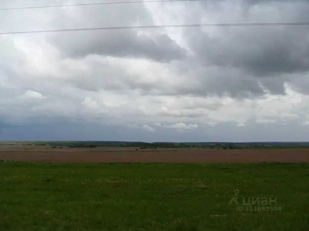 Участок в Владимирская область, Юрьев-Польский муниципальное ... - Фото 1