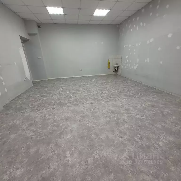 Офис в Новосибирская область, Новосибирск Академгородок мкр, бул. ... - Фото 2