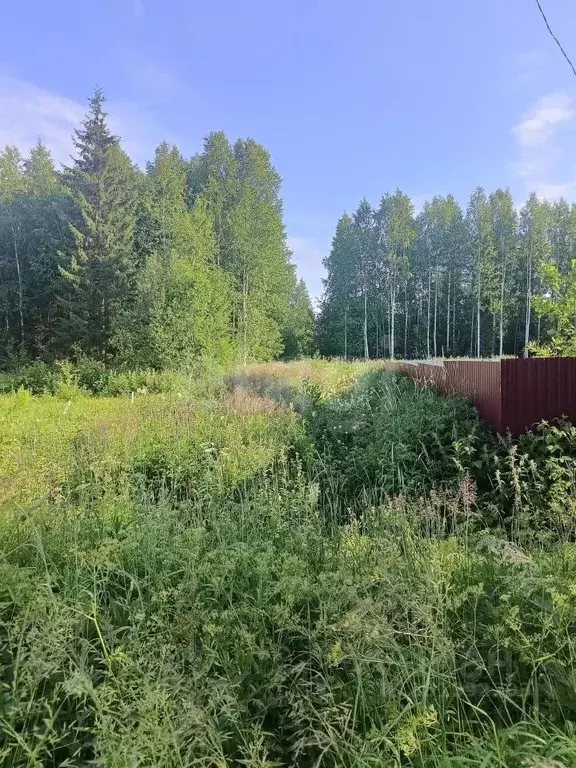 Участок в Коми, Сыктывдинский муниципальный район, Выльгорт ... - Фото 1