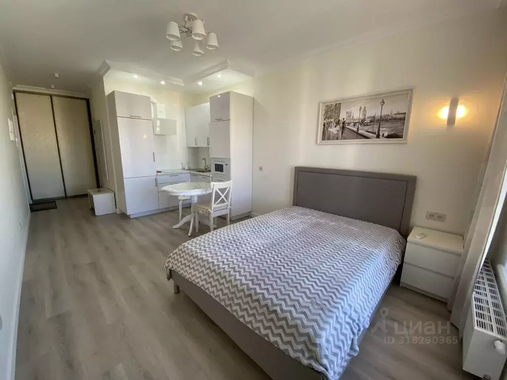 Студия Санкт-Петербург Комендантский просп., 61 (28.0 м) - Фото 0