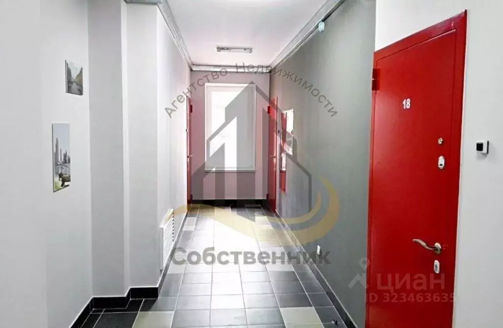 Студия Воронежская область, Воронеж ул. Кривошеина, 13 (27.0 м) - Фото 1