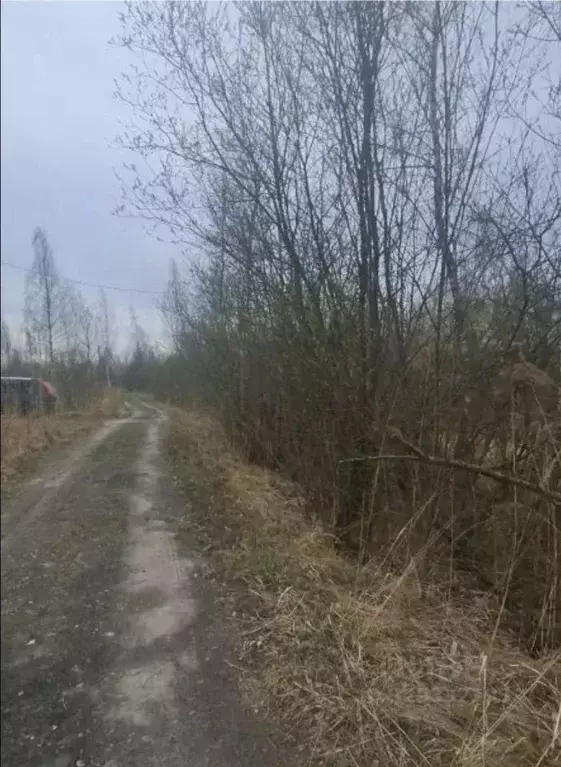 Участок в Ленинградская область, Гатчинский муниципальный округ, пос. ... - Фото 2