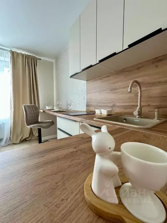 Квартира, студия, 20.3 м - Фото 0