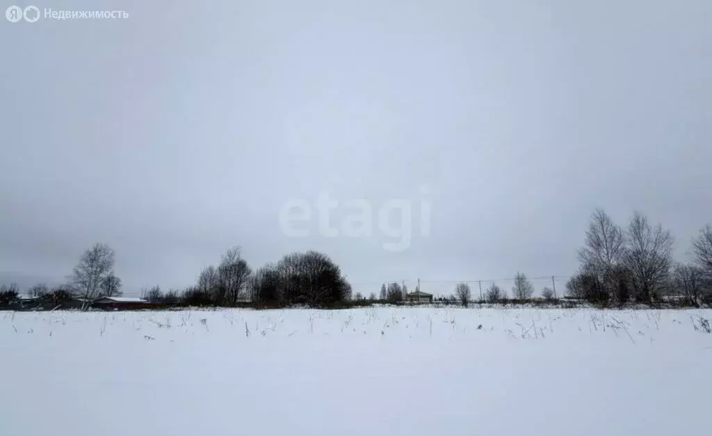 Участок в Тульская область, городской округ Алексин, село Абрютино (34 ... - Фото 2