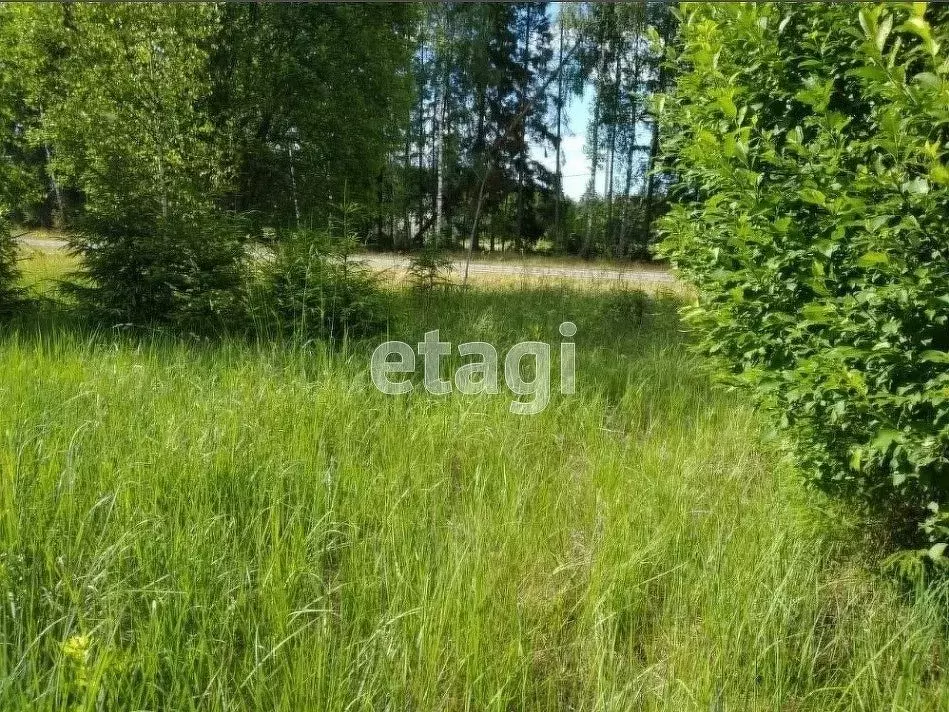 Участок в Владимирская область, Муром д. Коржавино,  (21.4 сот.) - Фото 1