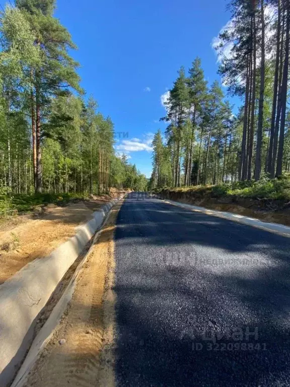 Участок в Ленинградская область, Всеволожский район, Куйвозовское ... - Фото 1