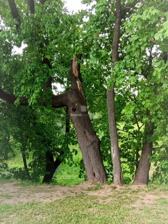 Продается участок в с. Семеновское - Фото 0