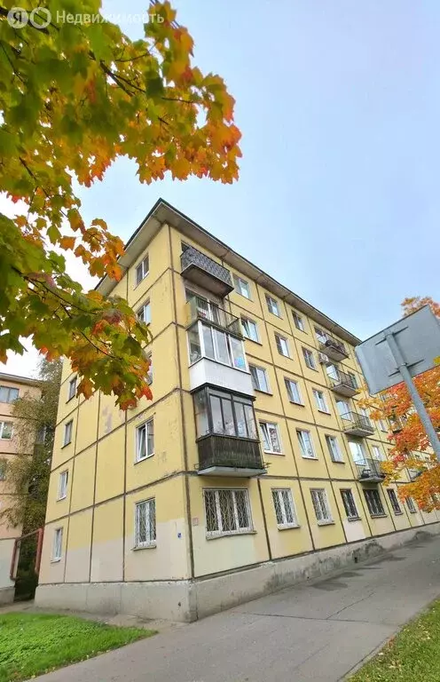 1-комнатная квартира: Санкт-Петербург, проспект Шаумяна, 87 (30.96 м) - Фото 1