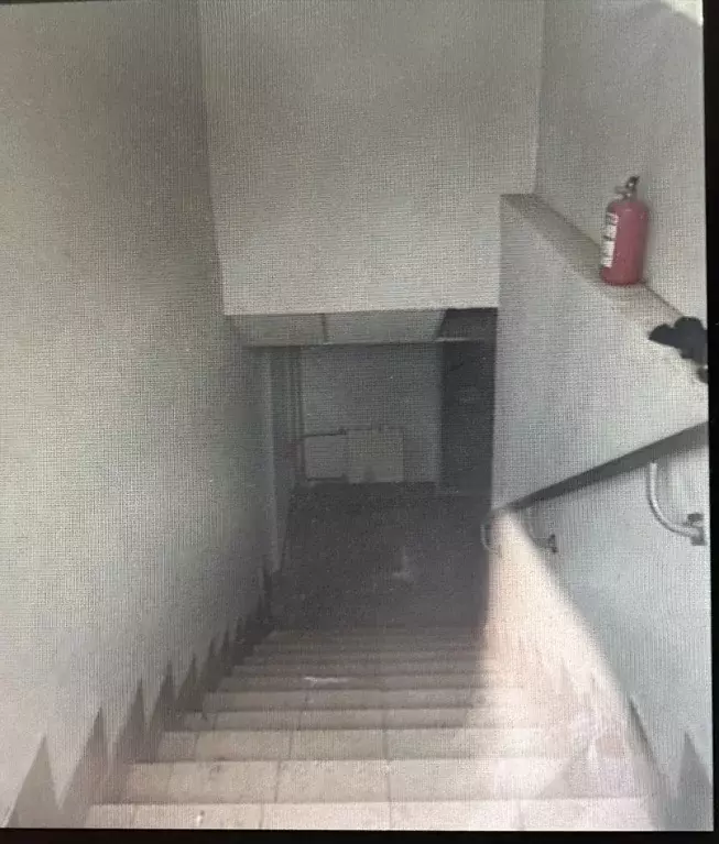 Помещение свободного назначения в Пермский край, Пермь ул. Мира, 41В ... - Фото 1