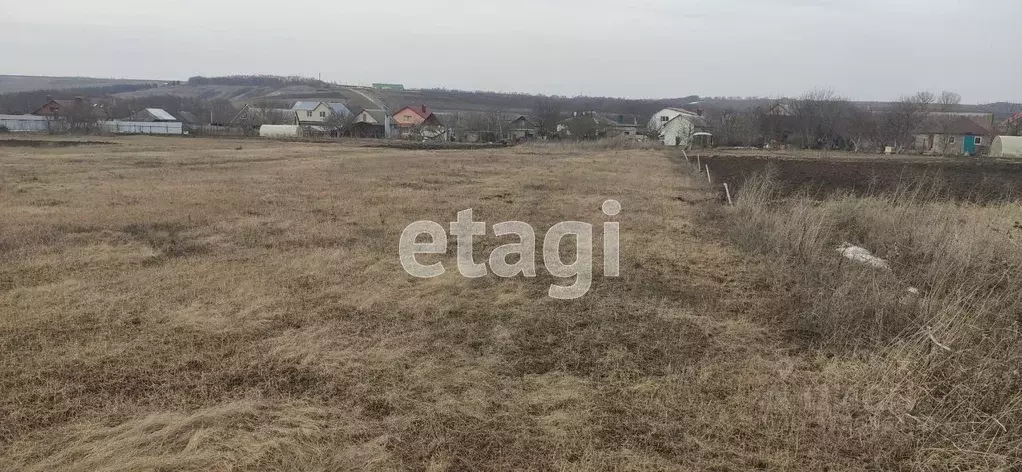 Участок в Белгородская область, Белгородский район, Беловское с/пос, ... - Фото 0