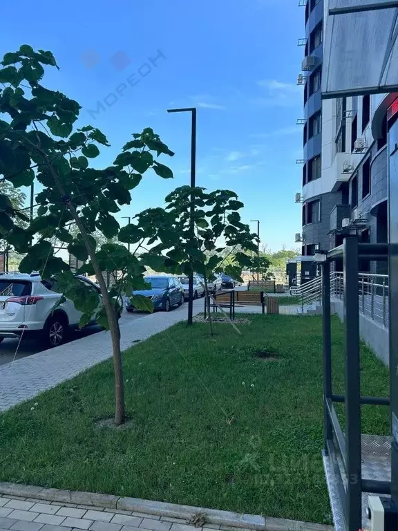 Помещение свободного назначения в Краснодарский край, Краснодар ул. ... - Фото 0