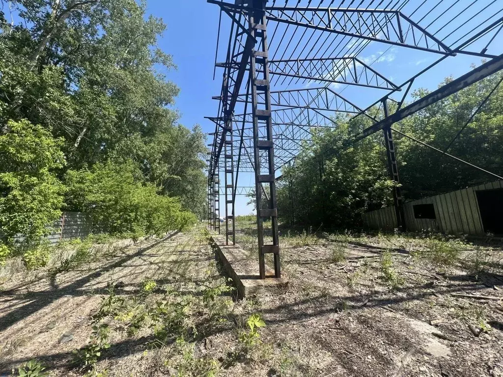 Производственное помещение в Алтайский край, Барнаул городской округ, ... - Фото 0