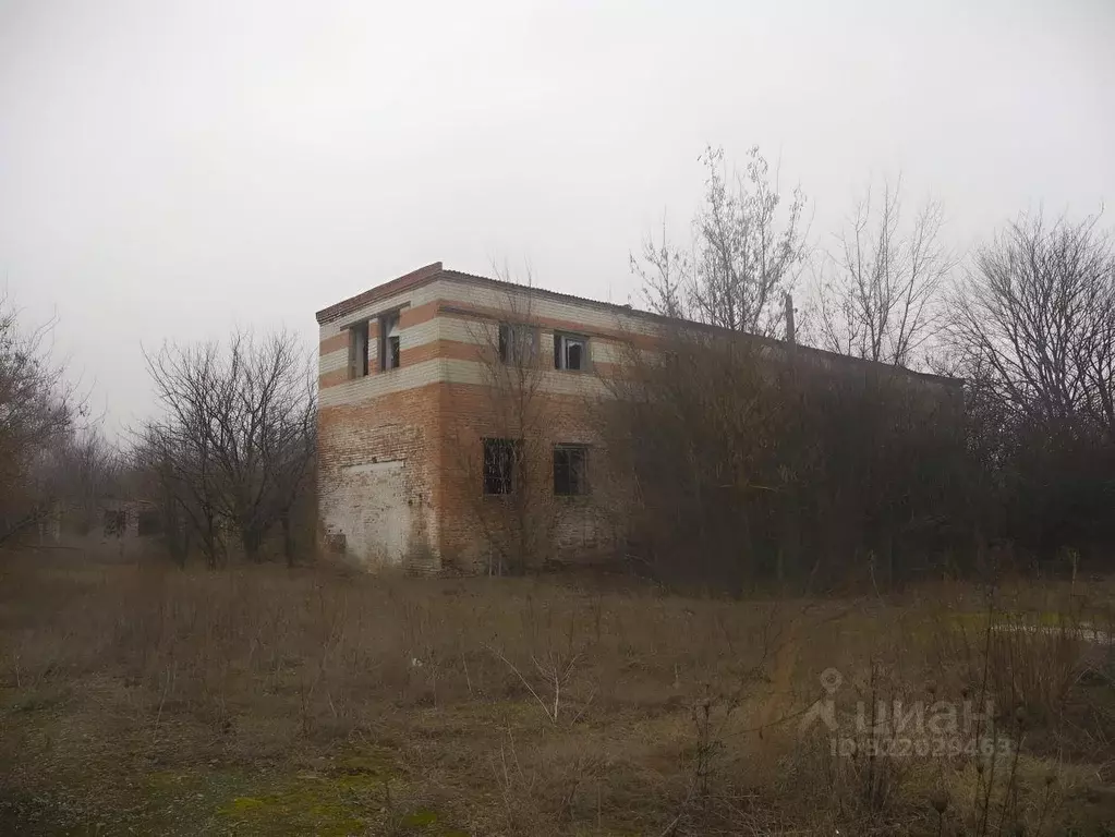 Производственное помещение в Белгородская область, Прохоровский район, ... - Фото 1