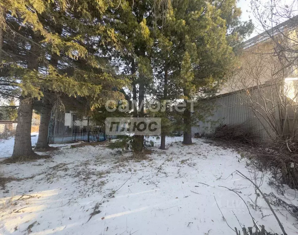 Дом в Иркутская область, Иркутский муниципальный округ, Колос СНТ 101 ... - Фото 2