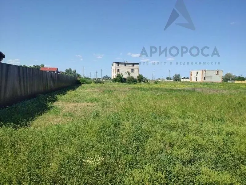 Участок в Волгоградская область, Краснослободск Среднеахтубинский ... - Фото 1