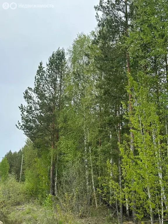 Участок в Екатеринбург, территория Лесные Тропы (10 м) - Фото 1