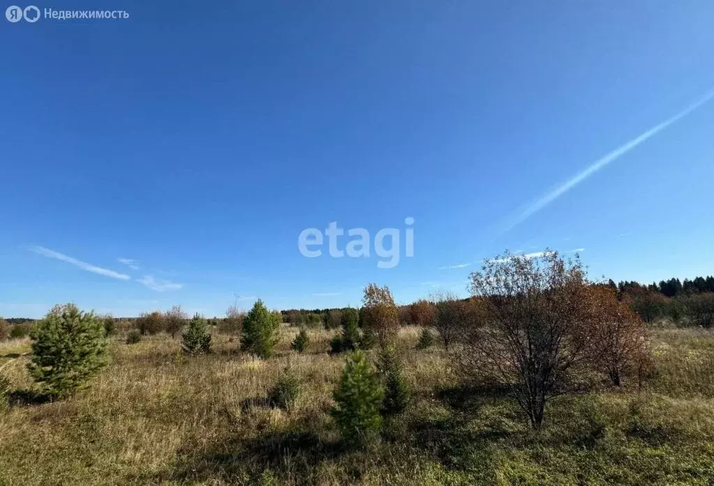 Участок в Пермский муниципальный округ, село Курашим (10 м) - Фото 0