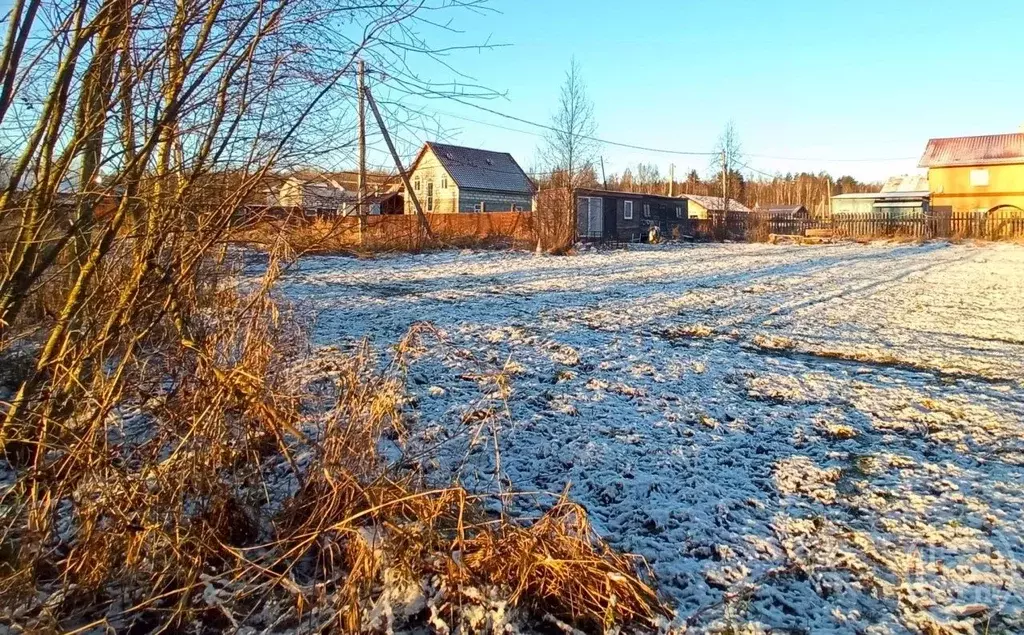 Участок в Ленинградская область, Всеволожский район, Бугровское ... - Фото 1