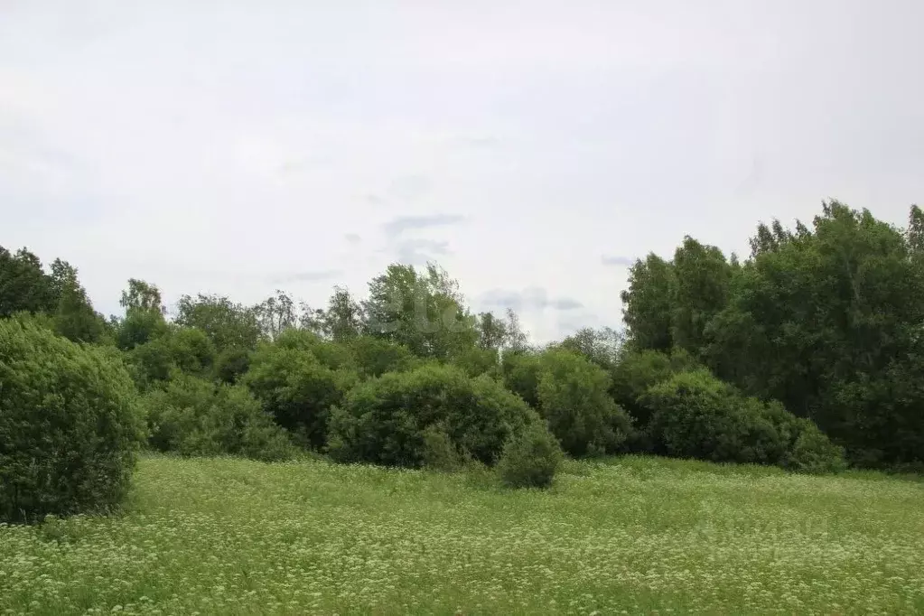 Участок в Ленинградская область, Выборгский район, Каменногорское ... - Фото 1