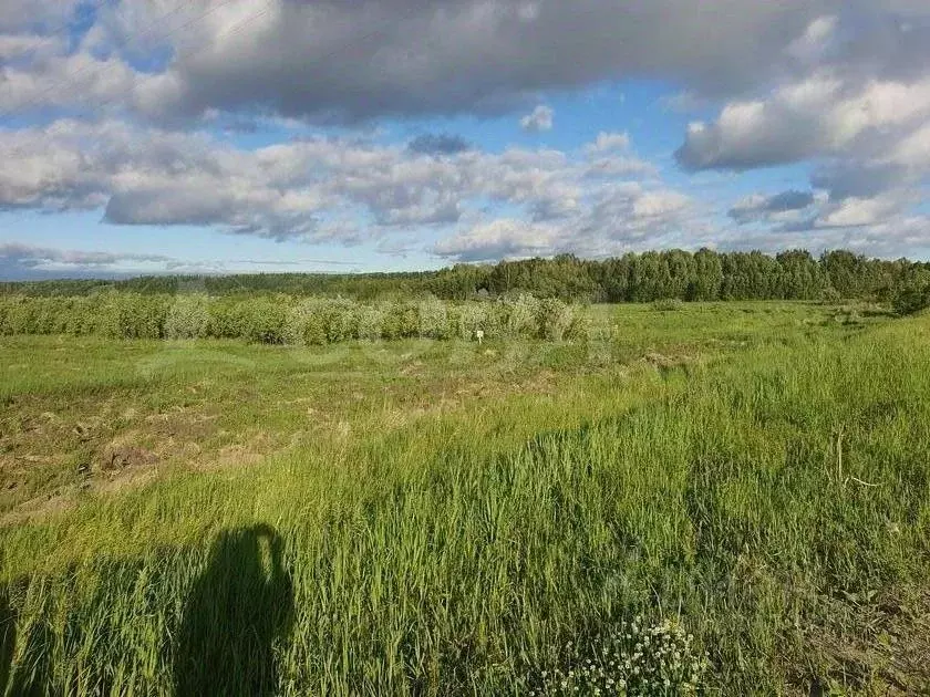 Участок в Тюменская область, Тобольск Иртышский мкр,  (10.0 сот.) - Фото 1